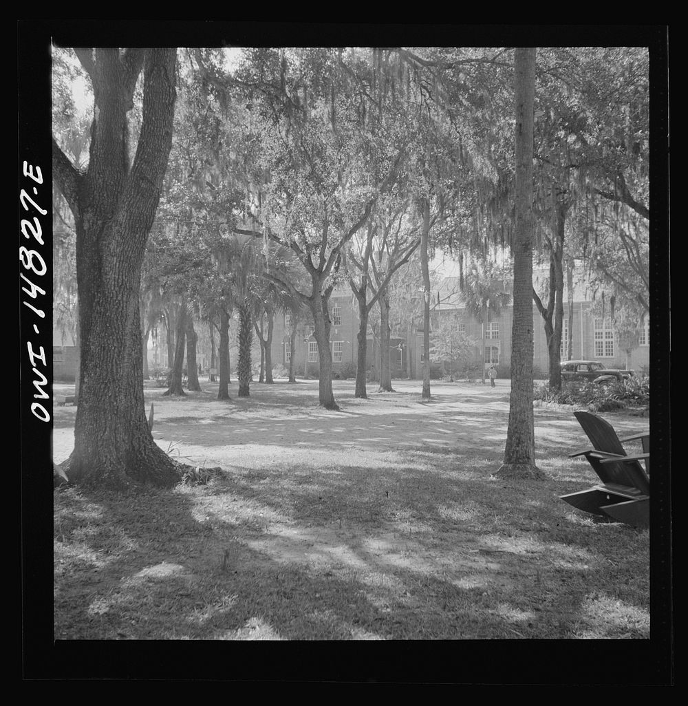 Daytona Beach, Florida. BethuneCookman College. Free Photo rawpixel