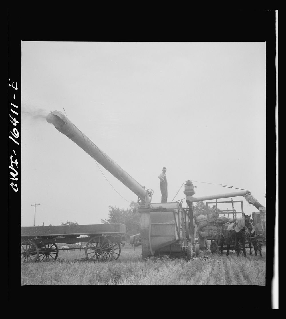 Jackson, Michigan. Threshing machine in action, front view. Sourced from the Library of Congress.