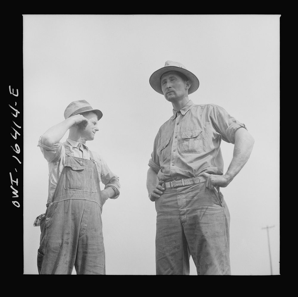 Jackson, Michigan. Soldier who was granted a furlough to help with the harvesting on this farm, and farmer watching the…