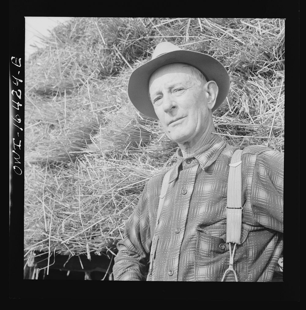 Jackson, Michigan. A typical farmer. Sourced from the Library of Congress.