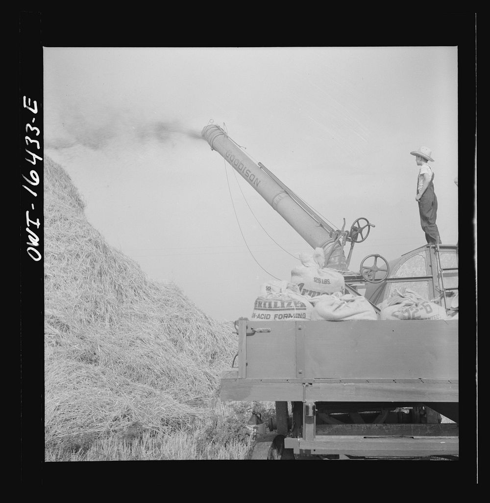 [Untitled photo, possibly related to: Jackson, Michigan. Threshing machine throwing chaff]. Sourced from the Library of…
