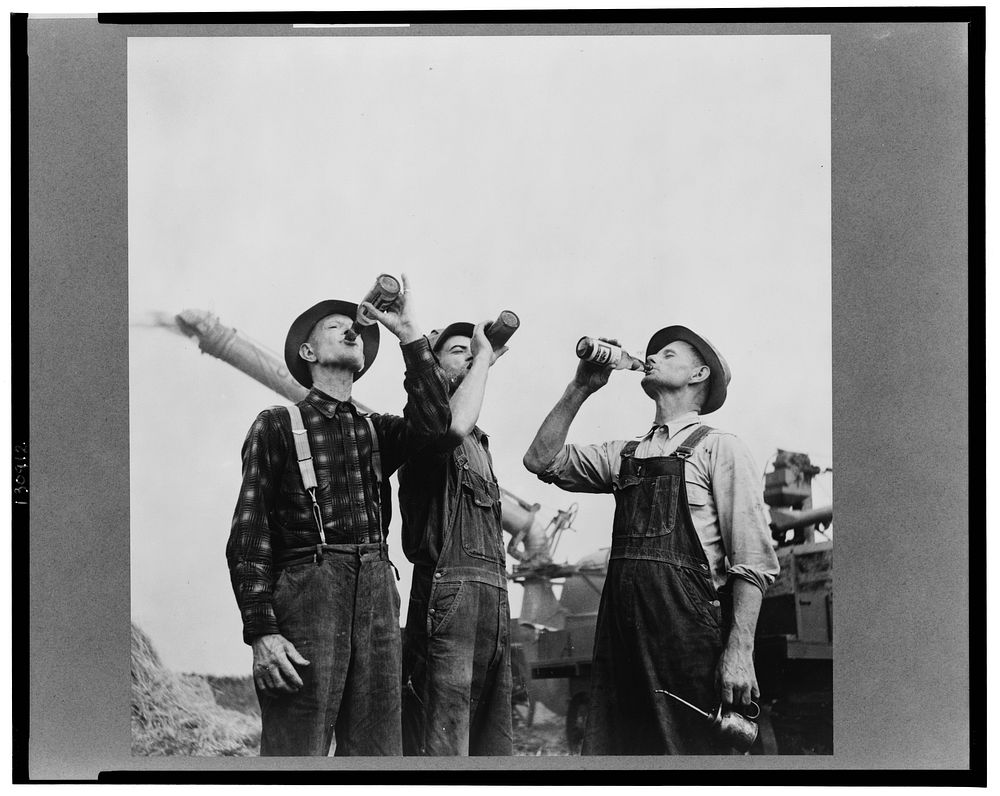 Jackson, Michigan. Farmers drinking beer. Sourced from the Library of Congress.
