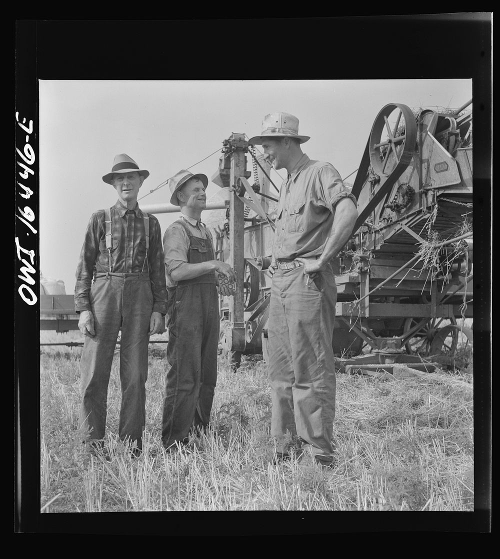 [Untitled photo, possibly related to: Jackson, Michigan. Soldier who was granted a furlough to help with the harvesting on…