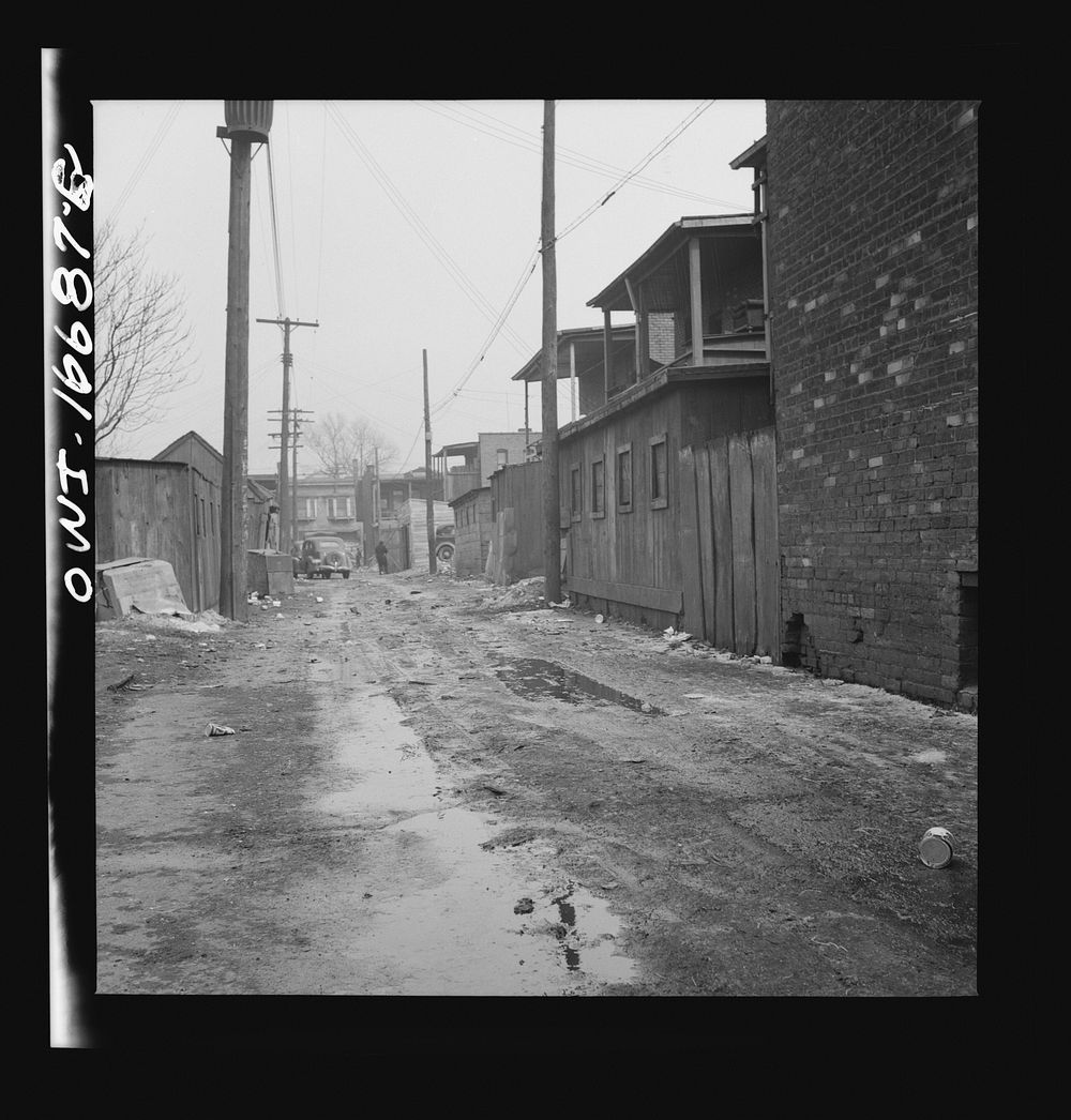 Detroit, Michigan. Alley in a  neighborhood. These are conditions under which families originally lived before moving to the…