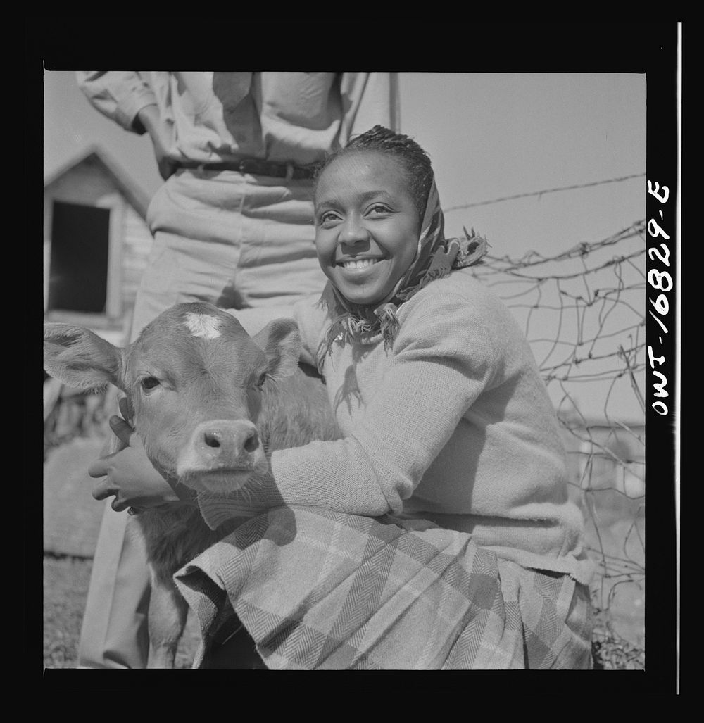Daytona Beach, Florida. Bethune-Cookman College. Student holding a young calf on the agricultural school farm. Sourced from…
