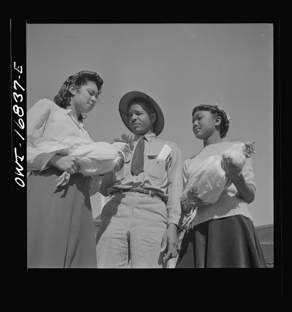 [Untitled photo, possibly related to: Daytona Beach, Florida. Bethune-Cookman College. Students learning modern dairy…