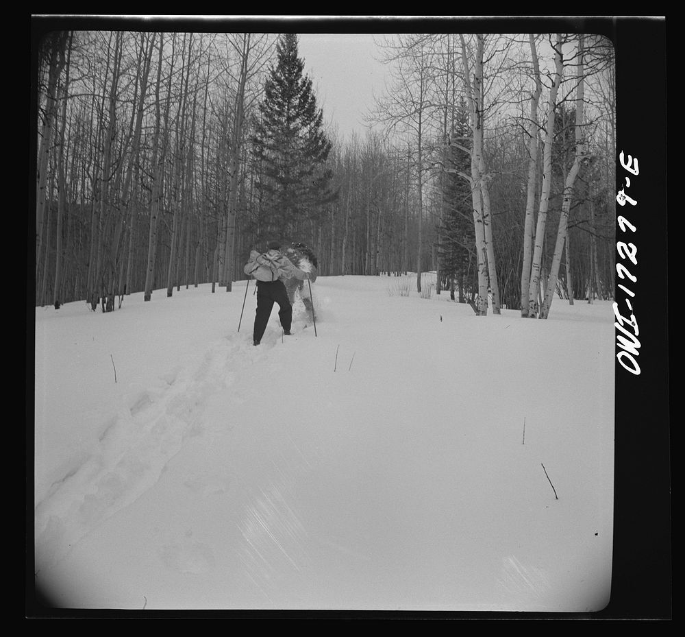 [Untitled photo, possibly related to: Rangers going to measure snow on the Sangre de Cristo Mountains above Penasco, New…