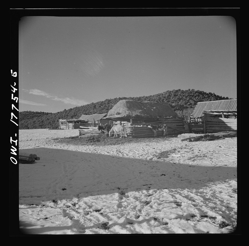 Trampas, New Mexico. Sourced from the Library of Congress.