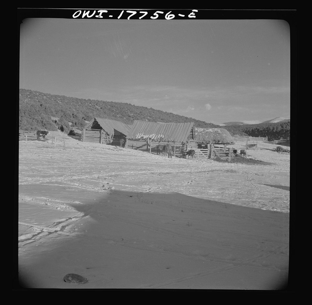 Trampas, Taos County, New Mexico. A Spanish-American village in the foothills of the Sangre de Cristo Mountains. Each house…