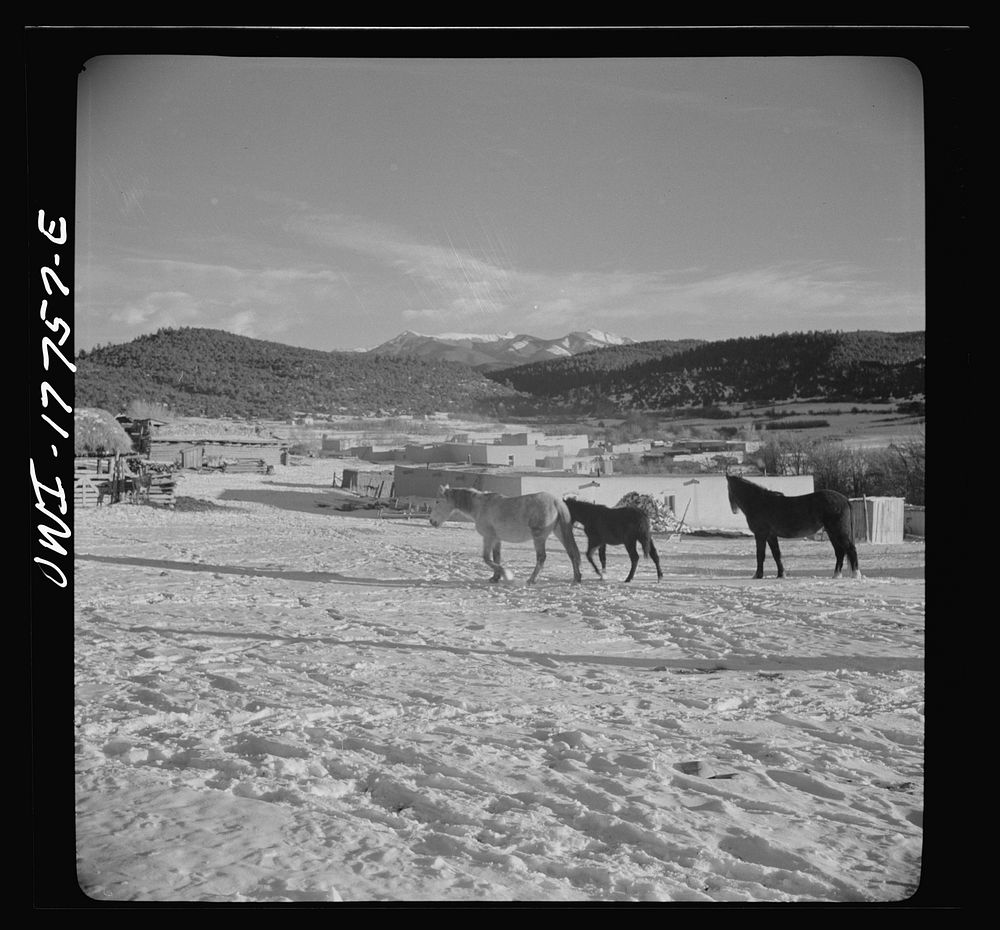 Trampas, New Mexico. A corral. Sourced from the Library of Congress.