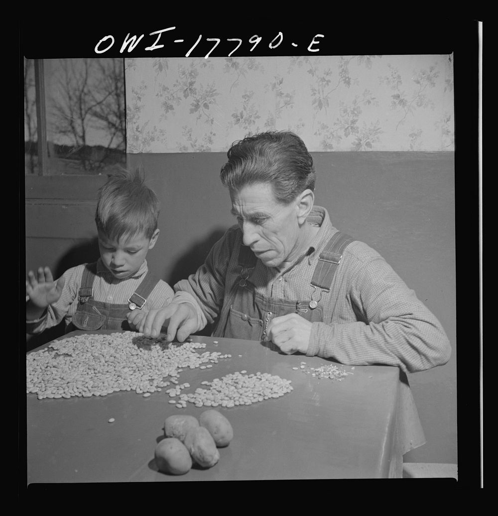 Trampas, New Mexico. Juan Lopez, the majordomo (mayor), sorting beans for the morning meal. Sourced from the Library of…