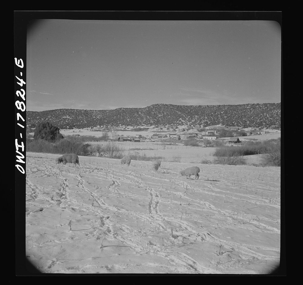 Trampas, Taos County, New Mexico. A Spanish-American village in the foothills of the Sangre de Cristo Mountains. Farmlands.…
