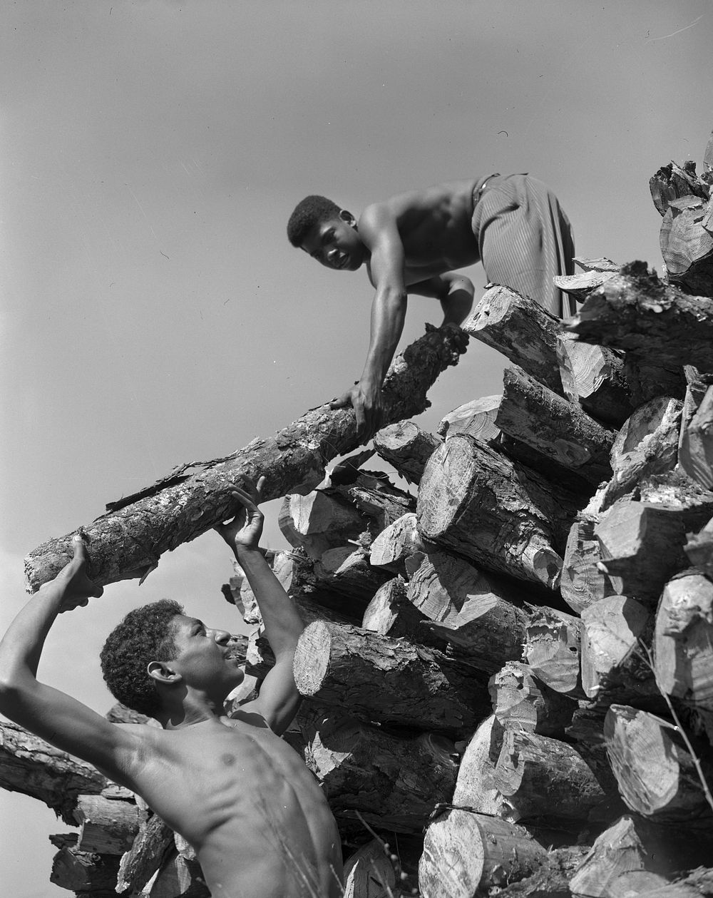 Daytona Beach, Florida. Bethune-Cookman College. Students chopping and piling wood for thirty-five cents an hour. Sourced…