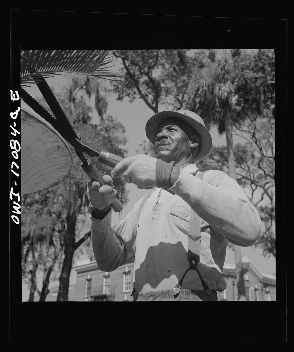 Daytona Beach, Florida. Bethune-Cookman College. Caretaker of the grounds. Sourced from the Library of Congress.