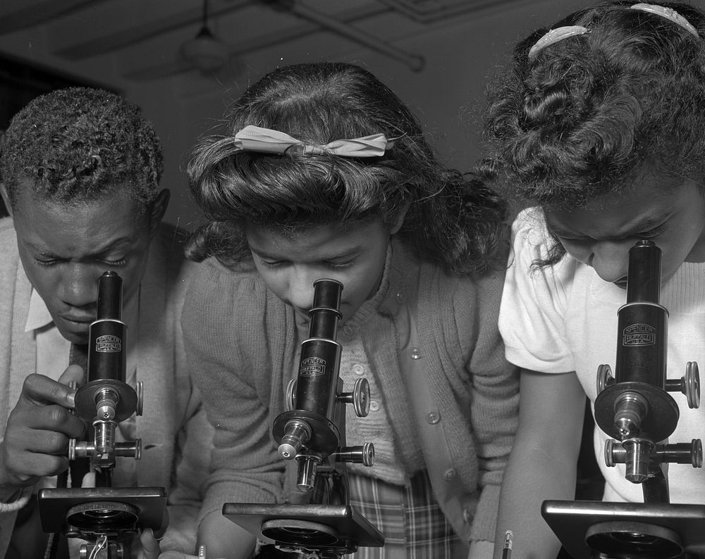 Daytona Beach, Florida. Bethune-Cookman College. Students using microscopes. Sourced from the Library of Congress.