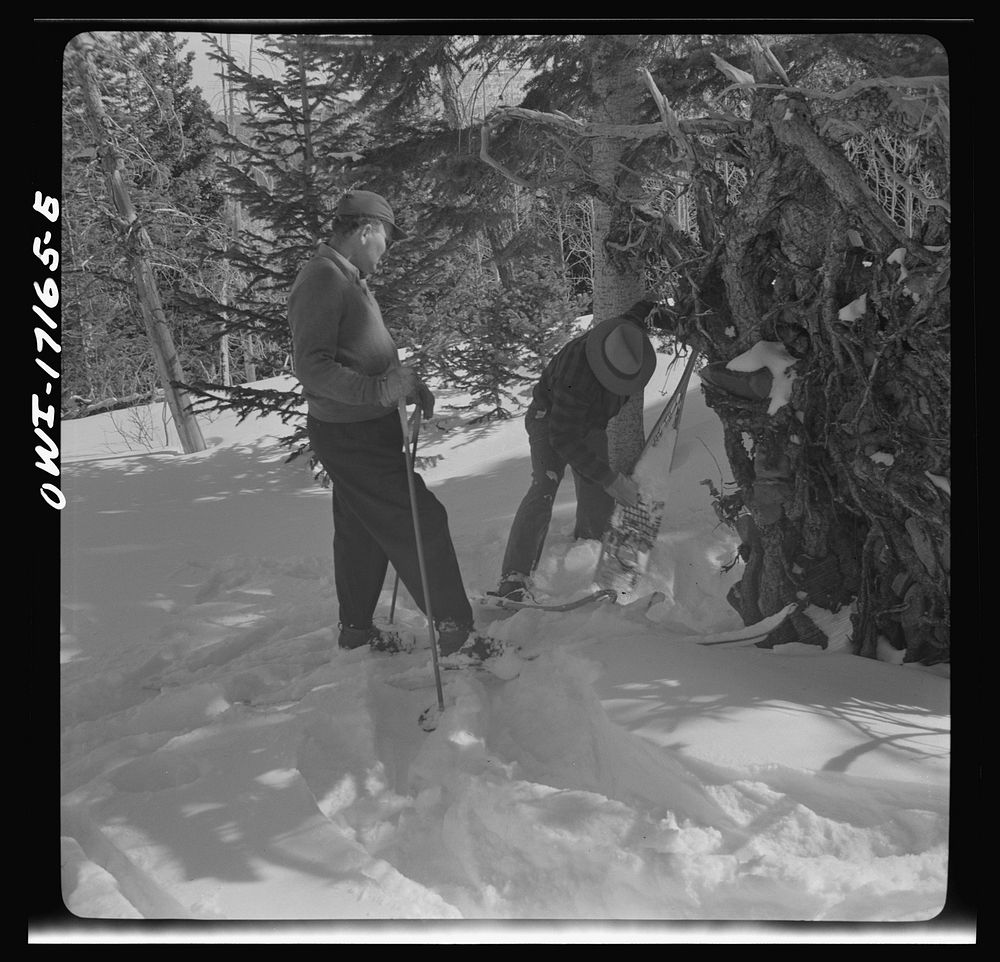 United States forest rangers prospecting for drinking water in the mountains above Penasco, New Mexico. Sourced from the…