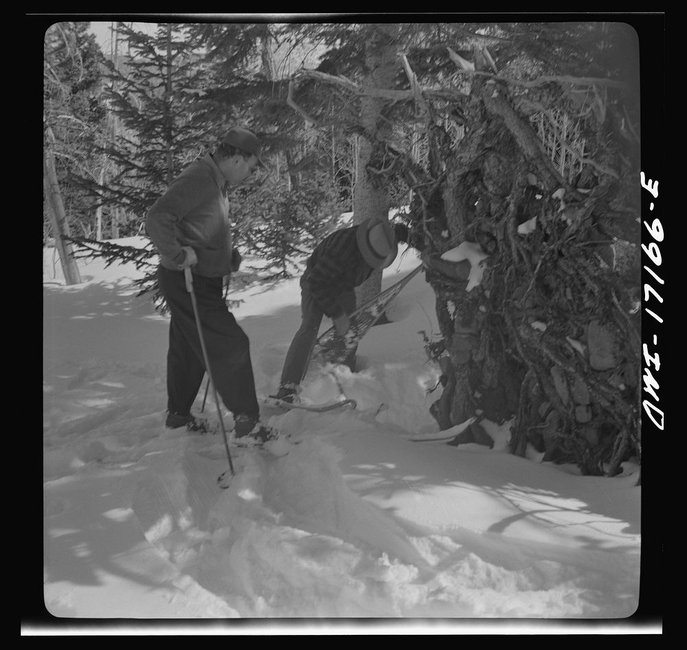 [Untitled photo, possibly related to: United States forest rangers prospecting for drinking water in the mountains above…