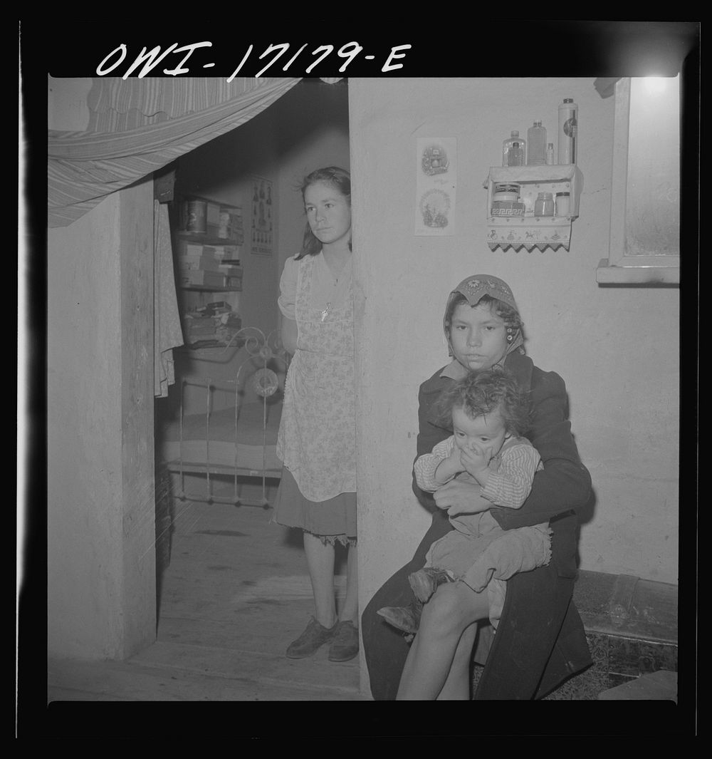 [Untitled photo, possibly related to: Vadito, New Mexico. A Spanish-American brother and sister]. Sourced from the Library…