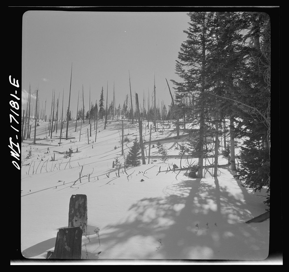 Winter in the Sangre de Cristo Mountains, near Penasco, New Mexico. Sourced from the Library of Congress.