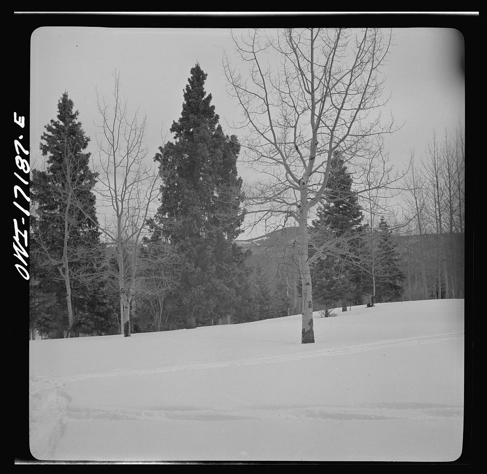 [Untitled photo, possibly related to: Winter in the Sangre de Cristo Mountains above Penasco, New Mexico]. Sourced from the…
