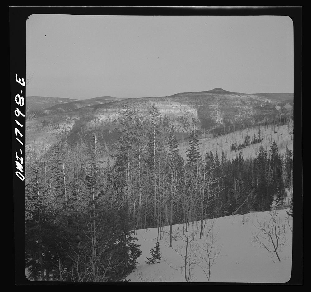 [Untitled photo, possibly related to: Winter in the Sangre de Cristo Mountains above Penasco, New Mexico]. Sourced from the…