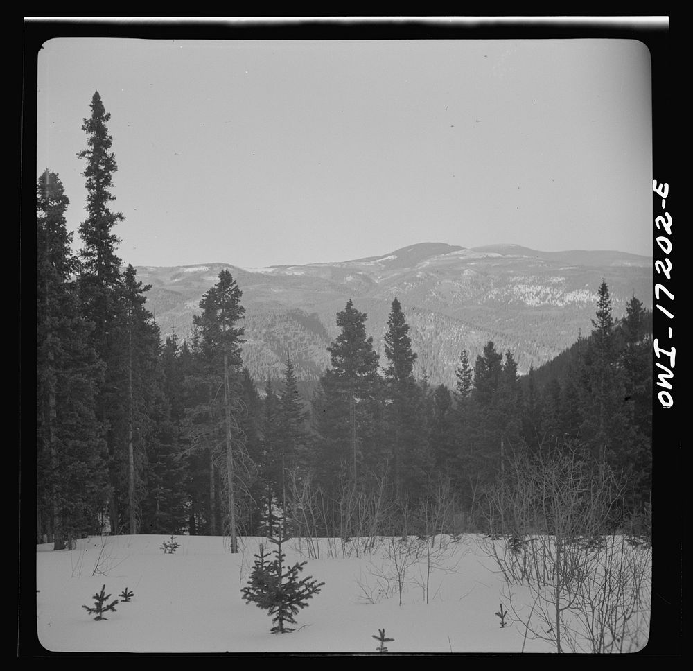 Winter in the Sangre de Cristo Mountains above Penasco, New Mexico. Sourced from the Library of Congress.