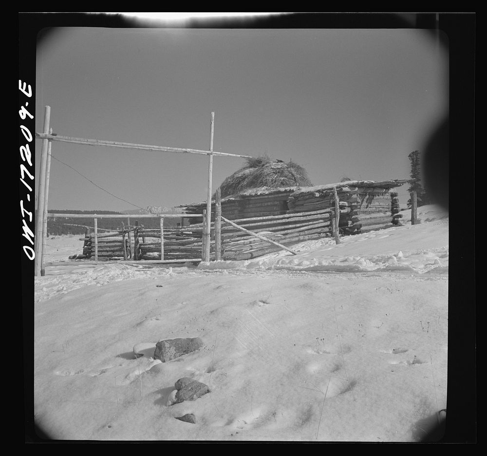Penasco (vicinity), New Mexico. A corral. Sourced from the Library of Congress.
