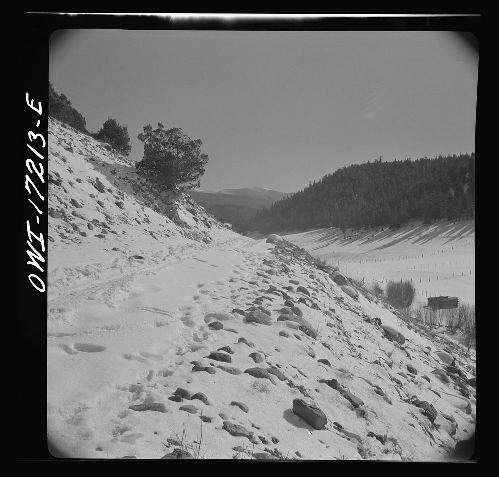 [Untitled photo, possibly related to: Penasco (vicinity), Taos County, New Mexico. Valley of Penasco]. Sourced from the…