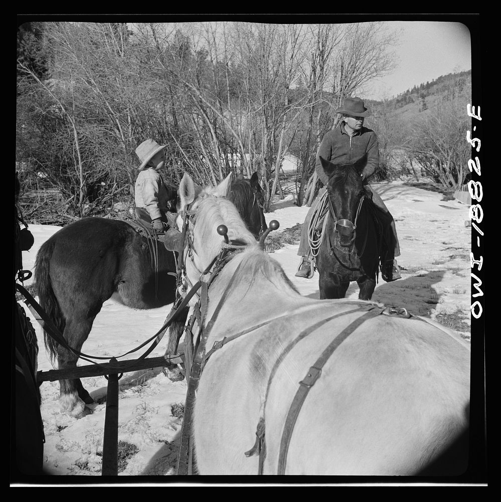 [Untitled photo, possibly related to: Moreno Valley, Colfax County, New Mexico. Opening a gate on William Heck's ranch].…