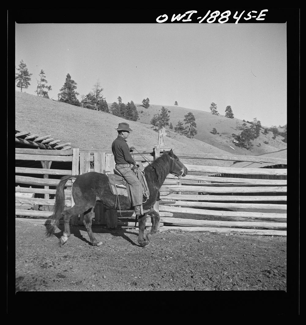 Moreno Valley, Colfax County, New Mexico. William Heck, a stockman. Sourced from the Library of Congress.