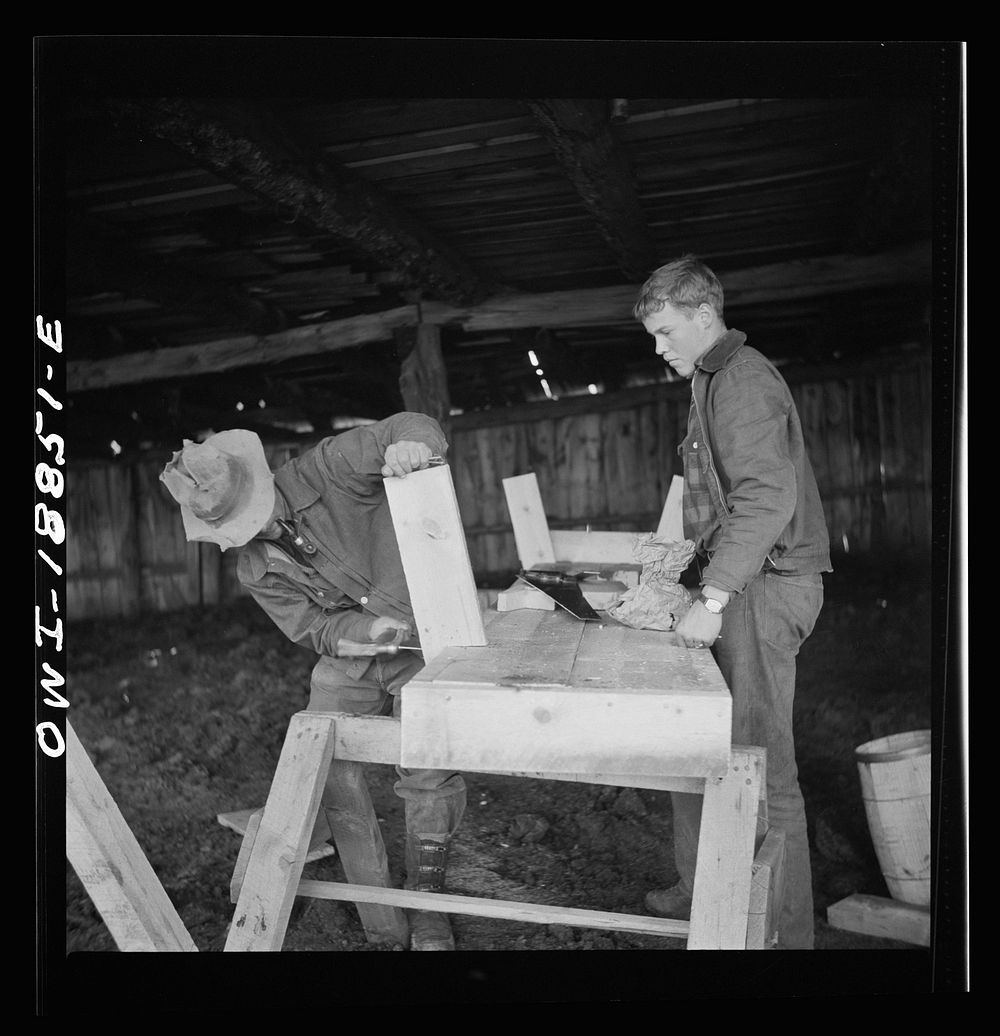 Moreno Valley, Colfax County, New Mexico. George Mutz and his son building a feed trough. Sourced from the Library of…