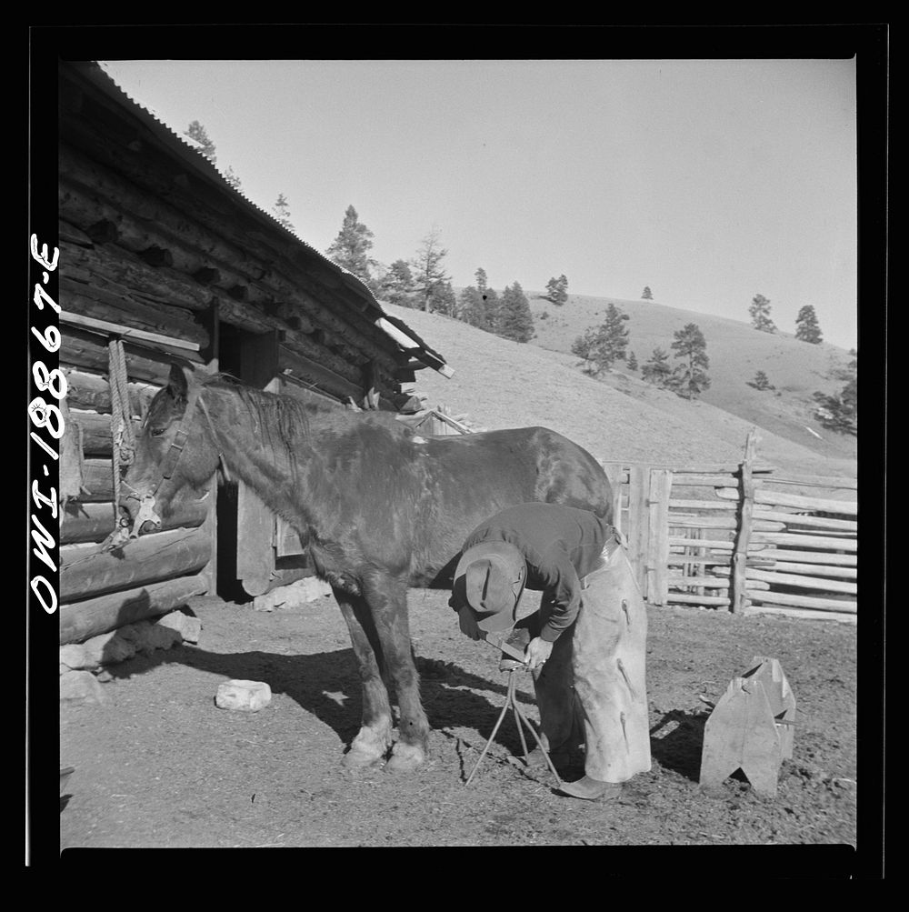 Moreno Valley, Colfax County, New Mexico. William Heck trimming his horse's hoof. Sourced from the Library of Congress.