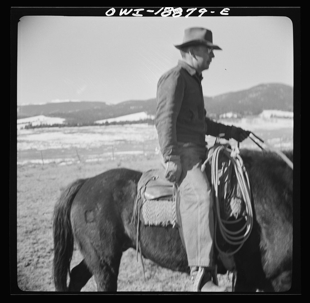 [Untitled photo, possibly related to: Moreno Valley, Colfax County, New Mexico. William Heck "saddling up" his horse].…