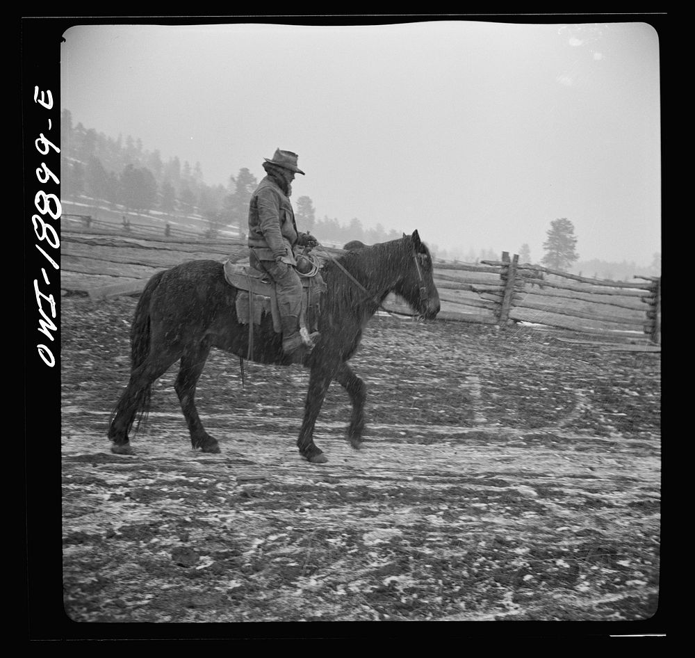 Moreno Valley, Colfax County, New Mexico. George Mutz starting out to work stock in a snowstorm. Sourced from the Library of…