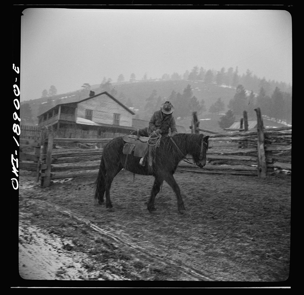 Moreno Valley, Colfax County, New Mexico. George Mutz starting out on the range in a snowstorm. Sourced from the Library of…