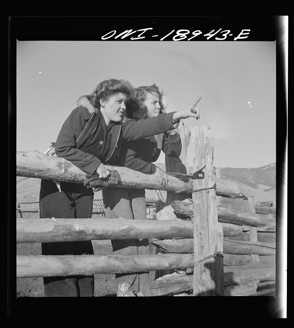 [Untitled photo, possibly related to: Moreno Valley, Colfax County, New Mexico. The Mutz girls looking over baby beef to…