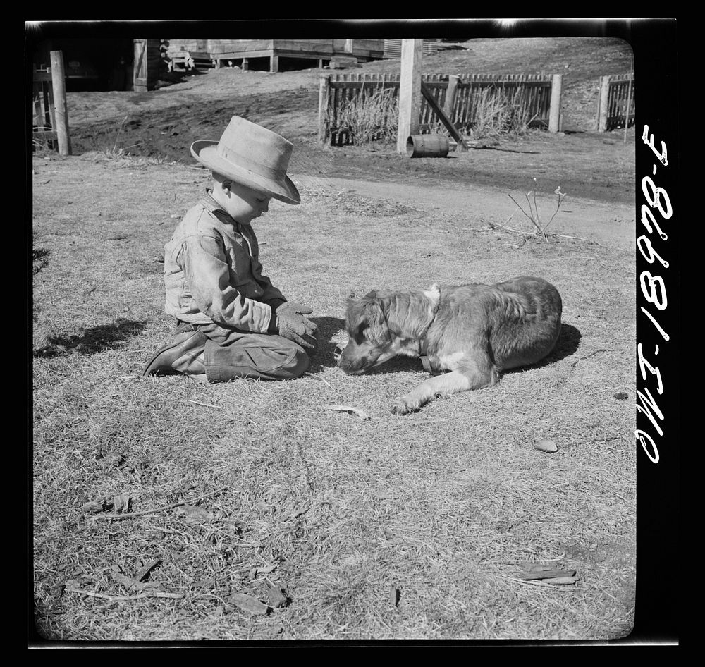 Moreno Valley, Colfax County, New Mexico. William Heck's son. Sourced from the Library of Congress.