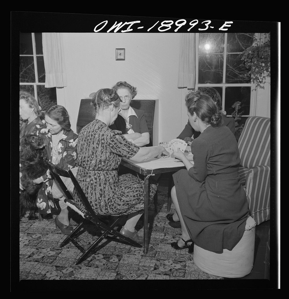 [Untitled photo, possibly related to: Moreno Valley, Colfax County, New Mexico. A poker party at George Turner's ranch].…