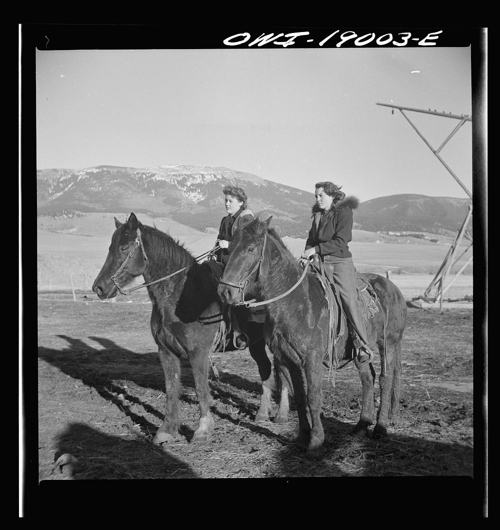 [Untitled photo, possibly related to: Moreno Valley, Colfax County, New Mexico. The Mutz girls talking in the home corral on…