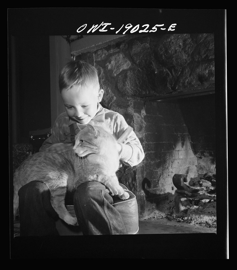 Moreno Valley, Colfax County, New Mexico. William Heck's son before the fire in their ranch home in the Rocky Mountains.…