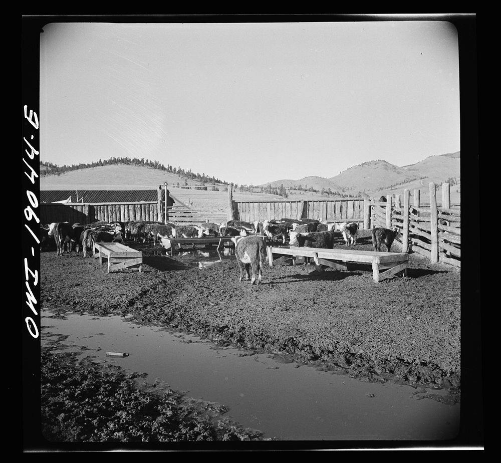 Moreno Valley, Colfax County, New Mexico. Corrals on George Mutz's ranch. Sourced from the Library of Congress.