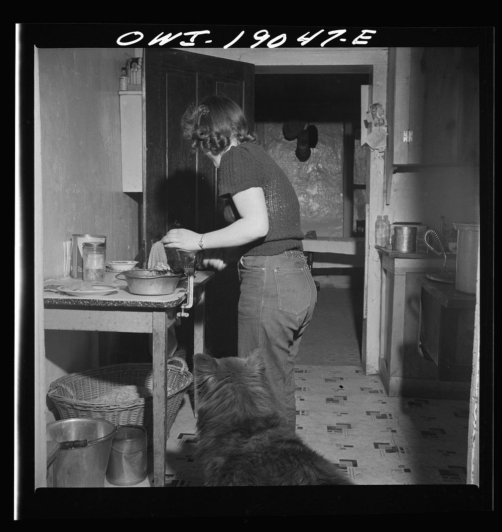 [Untitled photo, possibly related to: Moreno Valley, Colfax County, New Mexico. The older daughter preparing dinner on…