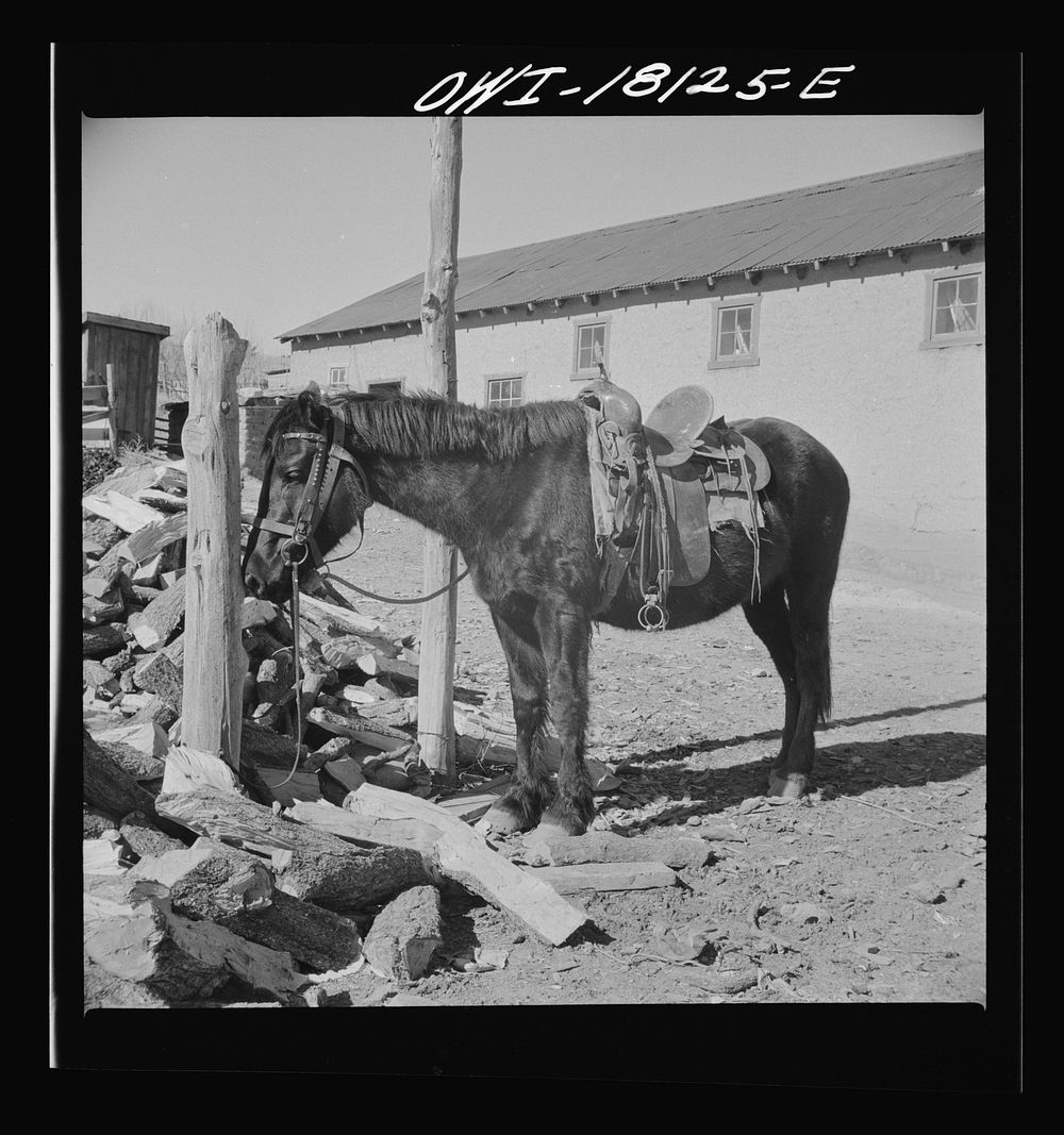 Questa, New Mexico. A hitching post outside the general store. Sourced from the Library of Congress.
