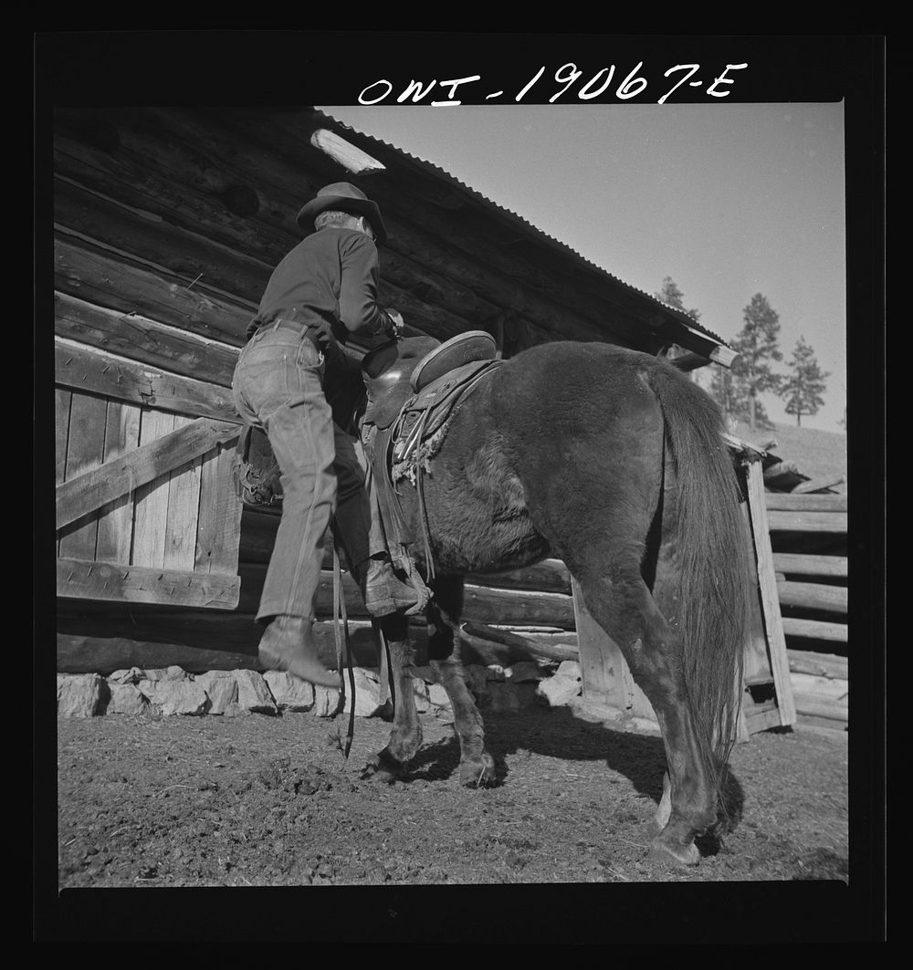 Moreno Valley, Colfax County, New Mexico. William Heck swinging into the saddle. Sourced from the Library of Congress.
