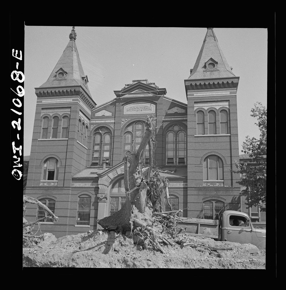 Washington, D.C. Preparing the ground for the construction of emergency buildings on Independence Avenue. Sourced from the…