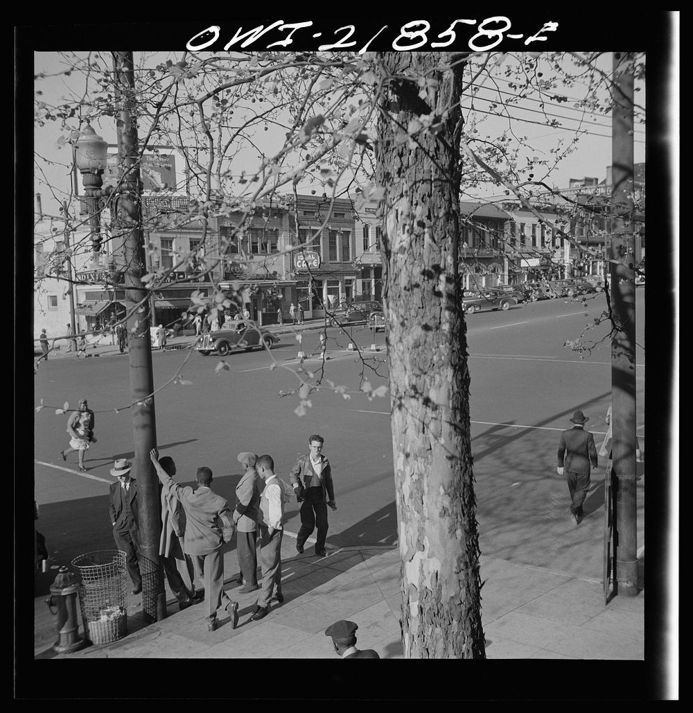 [Untitled photo, possibly related to: Montgomery, Alabama. In front of City Hall]. Sourced from the Library of Congress.
