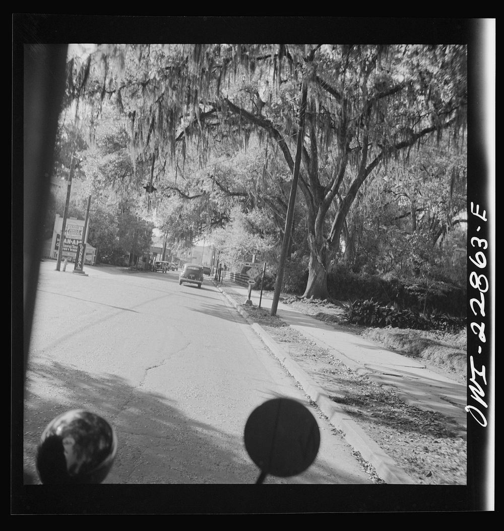 [Untitled photo, possibly related to: New Iberia, Louisiana]. Sourced from the Library of Congress.
