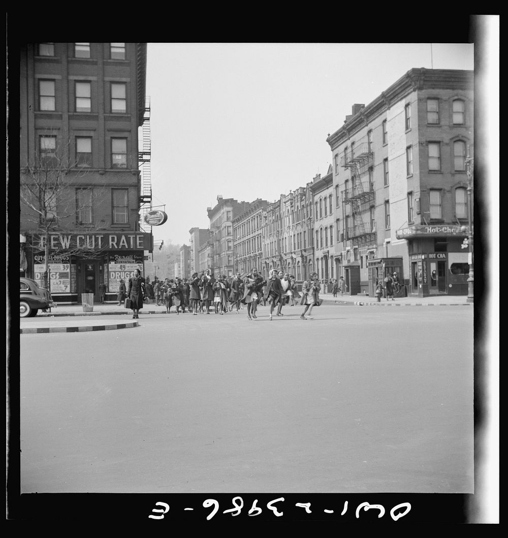 New York, New York. Many accidents are attributed to unpatrolled intersections in Harlem. Here school children are allowed…