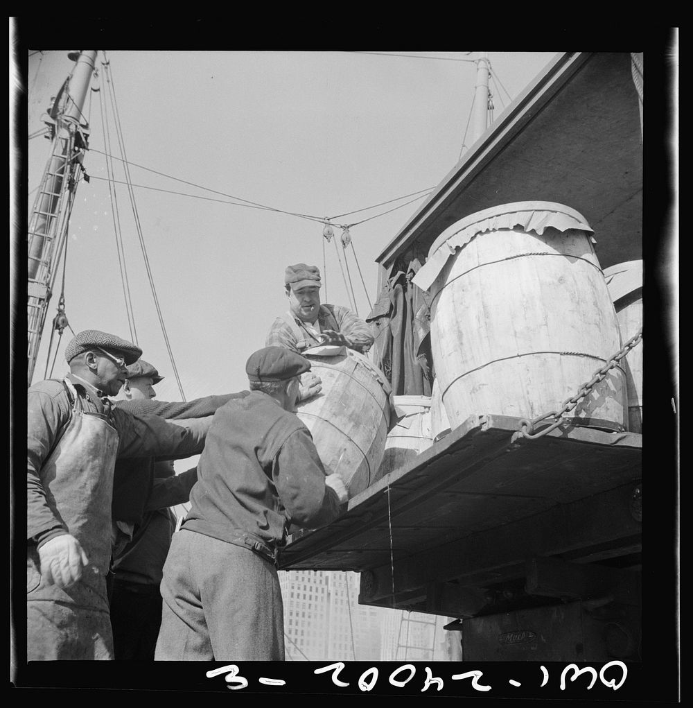 New York, New York. Dock worker at the Fulton fish market loading fish that have been caught in Gloucester. The fish are…