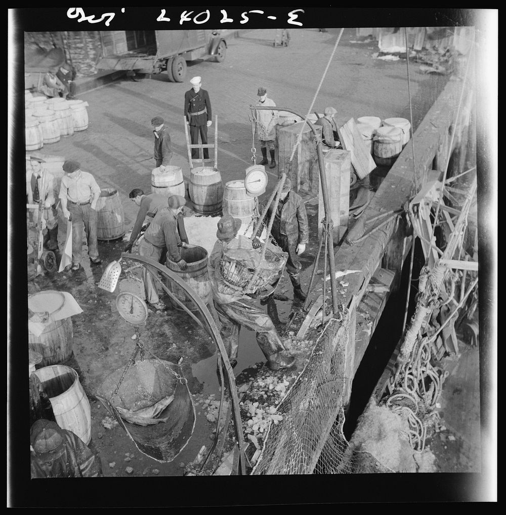 New York, New York. Fulton fish market stevedore. Sourced from the Library of Congress.